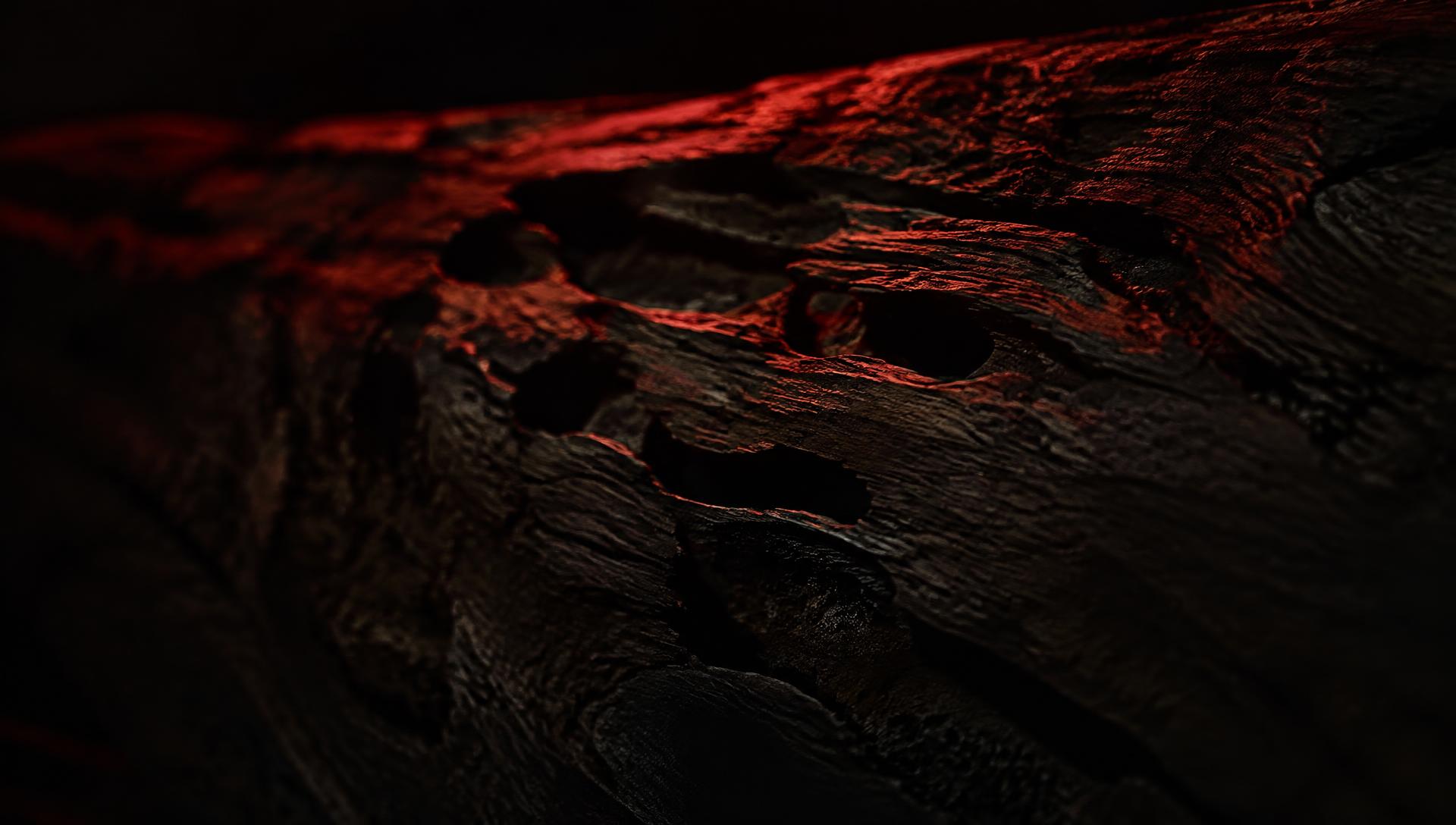 Termite galleries carved into wood under red light